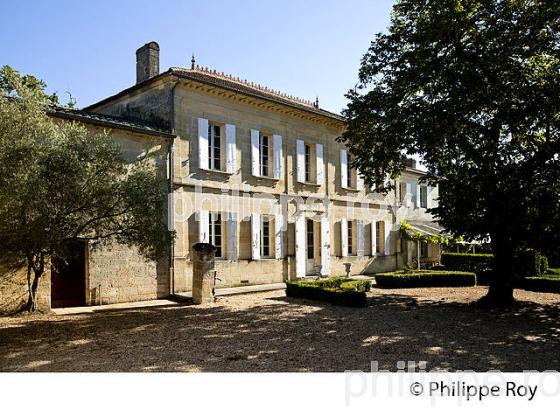 CHATEAU LABORDE, VIN DE LALANDE DE POMEROL, GIRONDE (33V35601.jpg)