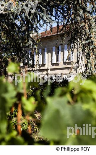 CHATEAU LABORDE, VIN DE LALANDE DE POMEROL, GIRONDE (33V35604.jpg)
