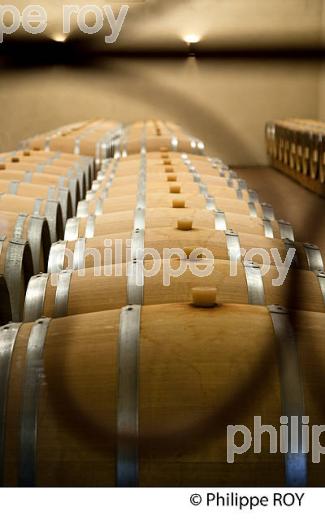CHATEAU LABORDE, VIN DE LALANDE DE POMEROL, GIRONDE (33V35614.jpg)