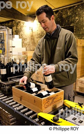 CHATEAU MANCEDRE, VIN DE PESSAC LEOGNAN, GIRONDE (33V35709.jpg)