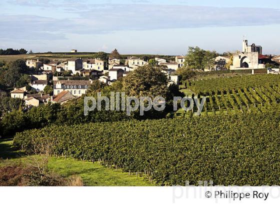 VILLAGE ET VIGNOBLE DE SAINT EMILION, GIRONDE (33V35718.jpg)