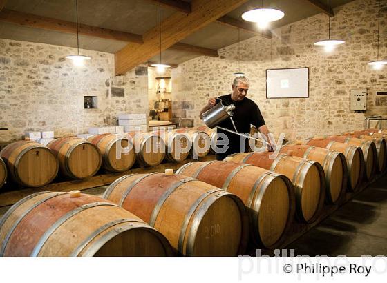 CHATEAU TESSENDEY, VIN DE FRONSAC, GIRONDE (33V35817.jpg)