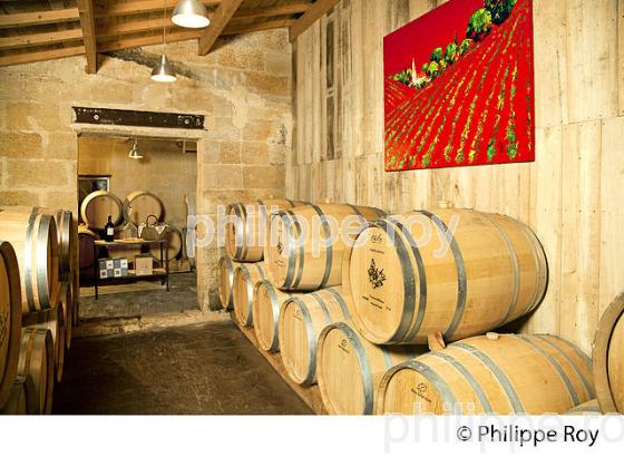 CHATEAU VIEUX TAILLEFER, VIN DE SAINT EMILION, GIRONDE (33V36225.jpg)