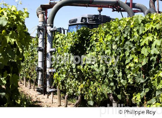 TRAITEMENT PHYTOSANITAIRE EN VITICULTURE, GIRONDE (33V36502.jpg)