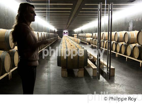 CHATEAU SIRAN, VIN DE MARGAUX, GIRONDE (33V36611.jpg)