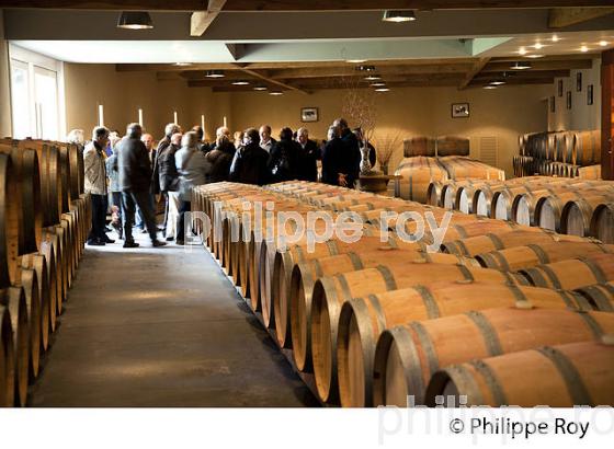 CHATEAU DEYREM VALENTIN, VIN DE MARGAUX, GIRONDE (33V36620.jpg)