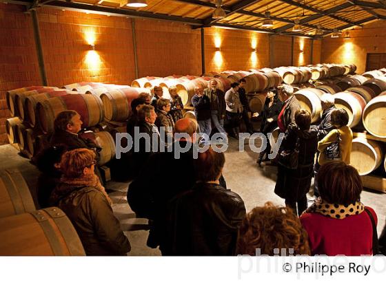 CHATEAU DURFORT VIVENS, VIN DE MARGAUX, GIRONDE (33V36627.jpg)