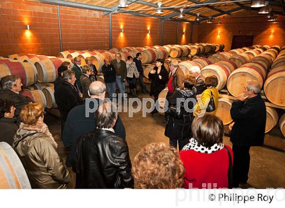 CHATEAU DURFORT VIVENS, MARGAUX, VIN DU MEDOC, GIRONDE (33V36628.jpg)