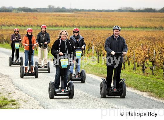 TOURISME DANS LE VIGNOBLE DE MARGAUX, MEDOC, GIRONDE (33V36708.jpg)