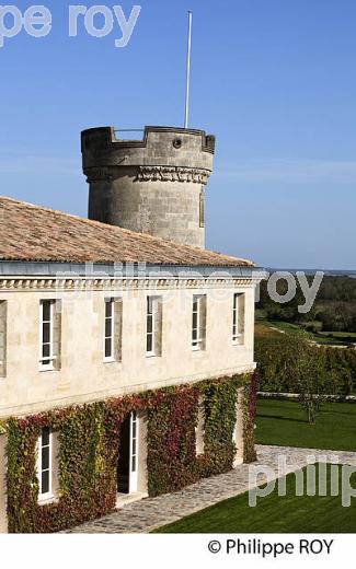 CHATEAU COS D' ESTOURNEL, VIN DE SAINT ESTEPHE, GIRONDE (33V36716.jpg)