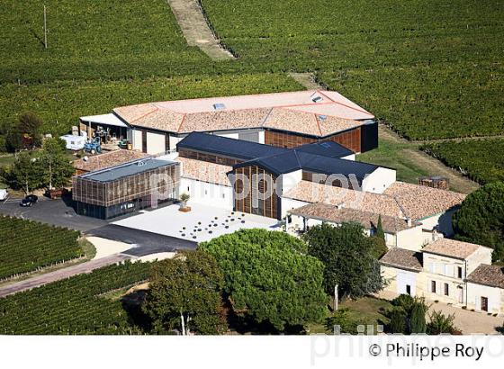 CHATEAU LA FLEUR SAINT GEORGES, VIN DE LALANDE DE POMEROL, GIRONDE (33V36717.jpg)