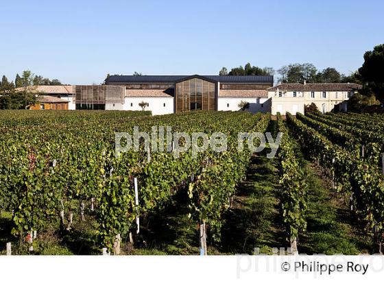 CHATEAU LA FLEUR SAINT GEORGES, VIN DE LALANDE DE POMEROL, GIRONDE (33V36720.jpg)
