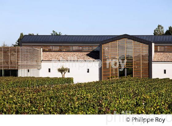 CHATEAU LA FLEUR SAINT GEORGES, VIN DE LALANDE DE POMEROL, GIRONDE (33V36721.jpg)