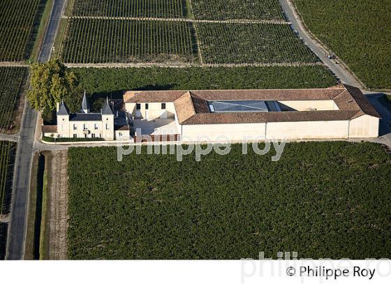 CHATEAU ABEL LAURENT, VIN DE MARGAUX, GIRONDE (33V36807.jpg)