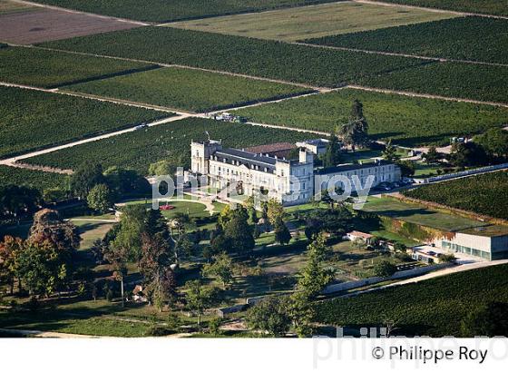 CHATEAU DUCRU BEAUCAILLOU, VIN DE SAINT JULIEN, GIRONDE (33V36824.jpg)