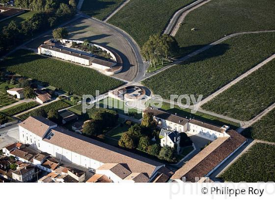 CHATEAU MOUTON ROTHSCHILD, VIN DE PAUILLAC, GIRONDE (33V36828.jpg)