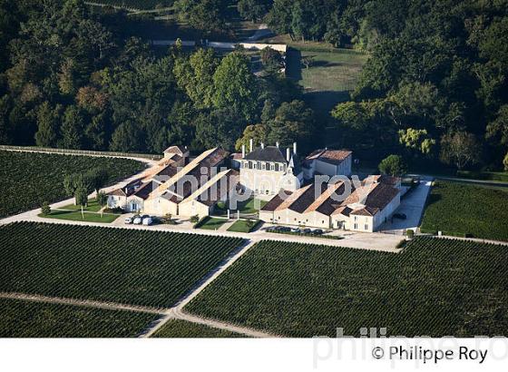 CHATEAU GRAND PUY LACOSTE, VIN DE PAUILLAC, GIRONDE (33V36829.jpg)