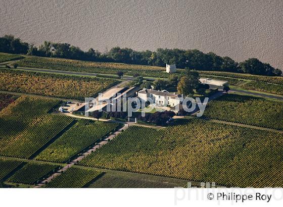 CHATEAU EYQUEM, VIN DES COTES DE BOURG, GIRONDE (33V36838.jpg)