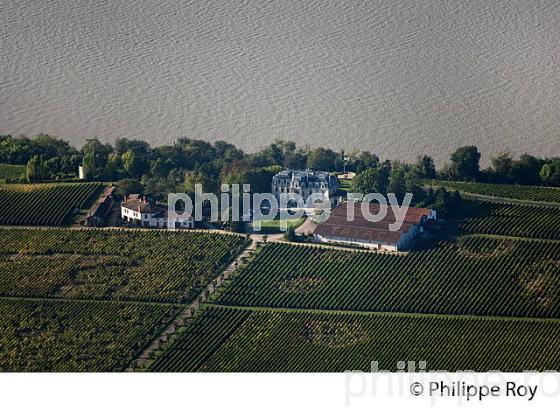 CHATEAU TAYAC, VIN DES COTES DE BOURG, GIRONDE (33V36839.jpg)