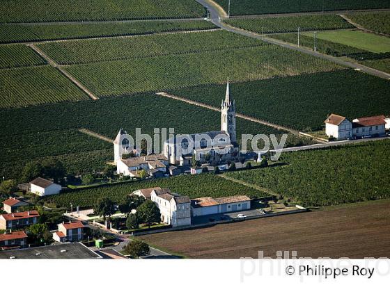 VIGNOBLE DE POMEROL, GIRONDE (33V36901.jpg)