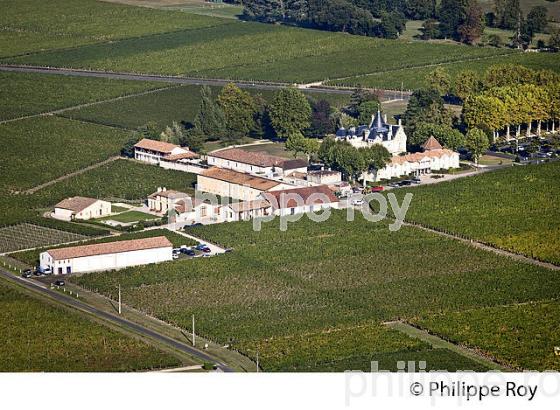 VIGNOBLE DE SAINT EMILION, GIRONDE (33V36902.jpg)