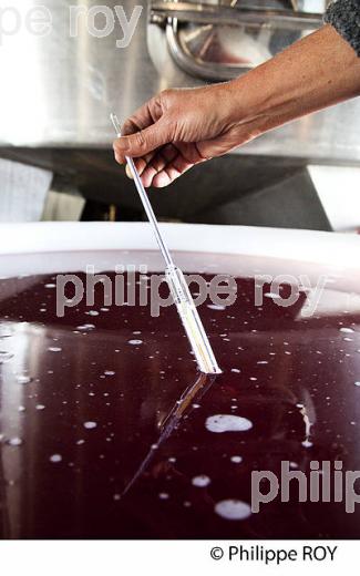VINIFICATION DU VIN ROSE, VINS DE BORDEAUX (33V36920.jpg)