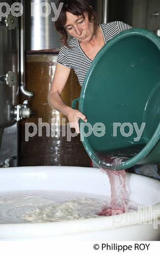 VINIFICATION DU VIN ROSE, VINS DE BORDEAUX (33V36936.jpg)