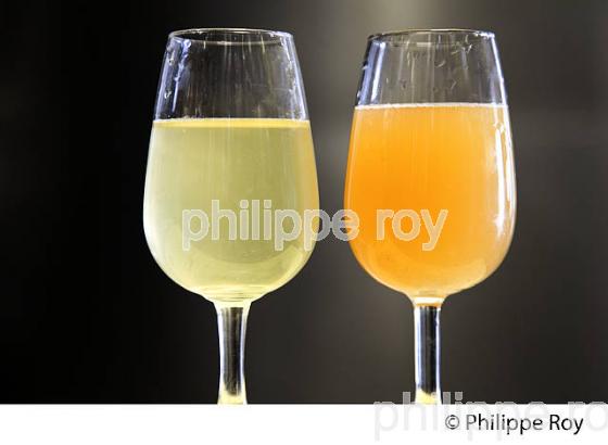 DEBOURBAGE, MOUT BLANC, VINIFICATION EN BORDELAIS (33V37026.jpg)