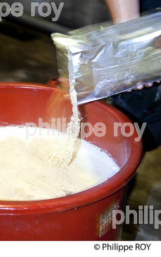 LEVURAGE ET ENZYMAGE, VIN BLANC, VINIFICATION EN BORDELAIS (33V37108.jpg)