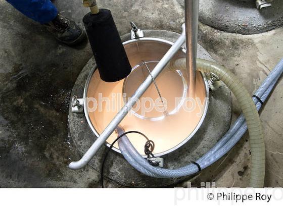 INERTAGE D' UNE CUVE, VINIFICATION EN BORDELAIS (33V37229.jpg)