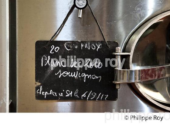 IDENTIFICATION DE CUVE, VINIFICATION EN BORDELAIS (33V37538.jpg)