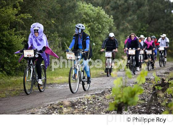 LA MEDOCAINE, COURSE EN VTT AVEC DEGUISEMENT, MARGAUX, MEDOC, GIRONDE. (33V38006.jpg)