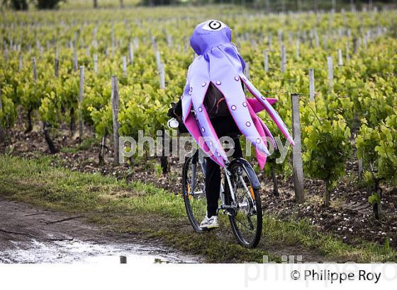 LA MEDOCAINE, COURSE EN VTT AVEC DEGUISEMENT, MARGAUX, MEDOC, GIRONDE. (33V38007.jpg)