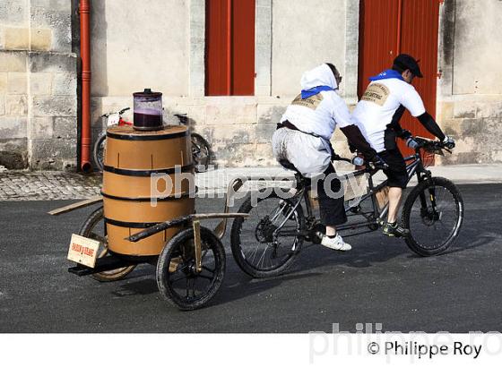 LA MEDOCAINE, COURSE EN VTT AVEC DEGUISEMENT, MARGAUX, MEDOC, GIRONDE. (33V38019.jpg)