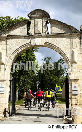 LA MEDOCAINE, COURSE EN VTT AVEC DEGUISEMENT, MARGAUX, MEDOC, GIRONDE. (33V38106.jpg)