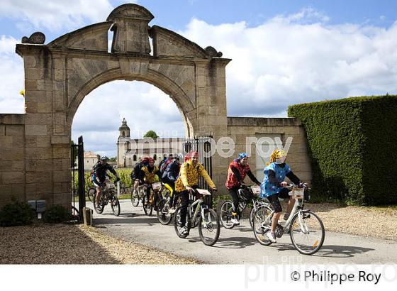 LA MEDOCAINE, COURSE EN VTT AVEC DEGUISEMENT, MARGAUX, MEDOC, GIRONDE. (33V38108.jpg)