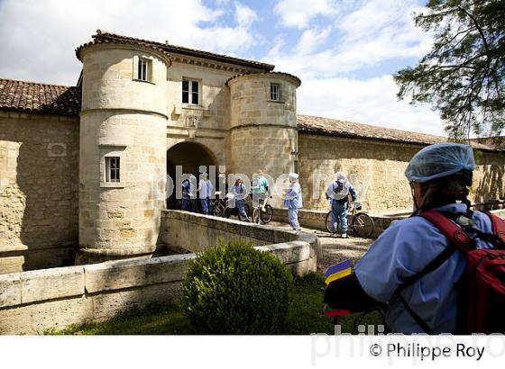 LA MEDOCAINE, COURSE EN VTT AVEC DEGUISEMENT, MARGAUX, MEDOC, GIRONDE. (33V38109.jpg)