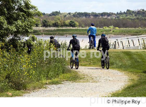 LA MEDOCAINE, COURSE EN VTT AVEC DEGUISEMENT, MARGAUX, MEDOC, GIRONDE. (33V38115.jpg)