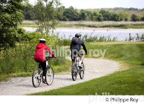 LA MEDOCAINE, COURSE EN VTT AVEC DEGUISEMENT, MARGAUX, MEDOC, GIRONDE. (33V38116.jpg)