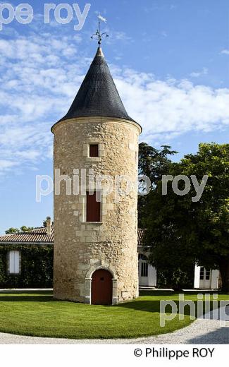 CHATEAU LATOUR-MARTILLAC,VIGNOBLE  AOC PESSAC LEOGNAN, GIRONDE. (33V38238.jpg)