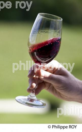 CHATEAU LA SERRE, SAINT EMILION GRAND CRU, VINS DE BORDEAUX, GIRONDE. (33V38313.jpg)