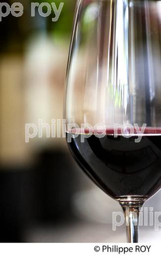 DEGUSTATION,  VINS PRIMEURS, VERRE DE VIN ROUGE, SAINT EMILION,  VINS DE BORDEAUX. (33V38637-ok.jpg)