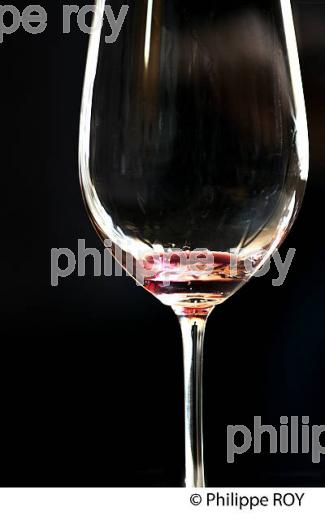 DEGUSTATION,  VINS PRIMEURS, VERRE DE VIN ROUGE, SAINT EMILION,  VINS DE BORDEAUX. (33V38639-ok.jpg)