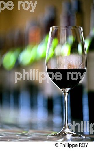 DEGUSTATION VINS PRIMEURS,  SAINT EMILION, GIRONDE. (33V38701.jpg)