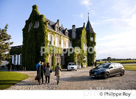 CHATEAU LASCOMBES , MARGAUX, MEDOC, GIRONDE , AQUITAINE. (33V38832.jpg)