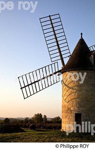 MOULIN DE CALON ET VIGNOBLE  AOC  MONTAGNE SAINT-EMILION, A L' AUTOMNE, MONTAGNE,GIRONDE, AQUITAINE. (33V39017.jpg)