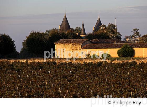 CHATEAU DES TOURS , AOC  MONTAGNE SAINT EMILION, VIGNOBLE DE BORDEAUX,  MONTAGNE, GIRONDE, AQUITAINE. (33V39035.jpg)