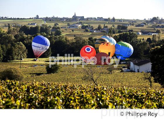 MONTGOLFIERE , ET VIGNOBLE DE MONTAGNE SAINT EMILION, GIRONDE, FRANCE. (33V39216.jpg)