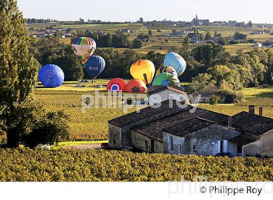 MONTGOLFIERE , ET VIGNOBLE DE MONTAGNE SAINT EMILION, GIRONDE, FRANCE. (33V39219.jpg)