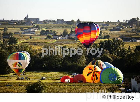 MONTGOLFIERE , ET VIGNOBLE DE MONTAGNE SAINT EMILION, GIRONDE, FRANCE. (33V39220.jpg)